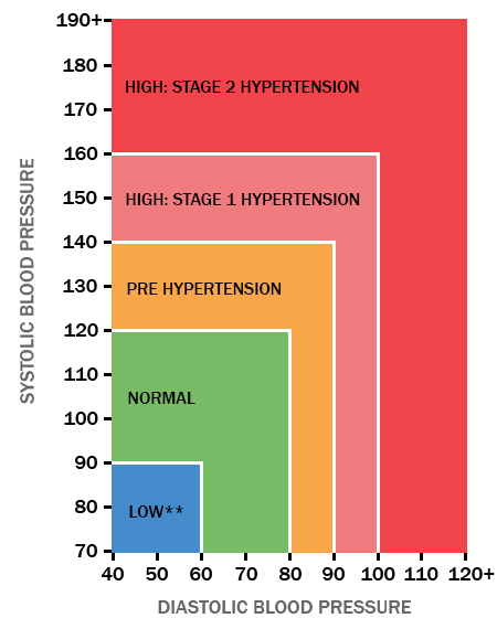 Normal Pulse Rate Nhs Uk